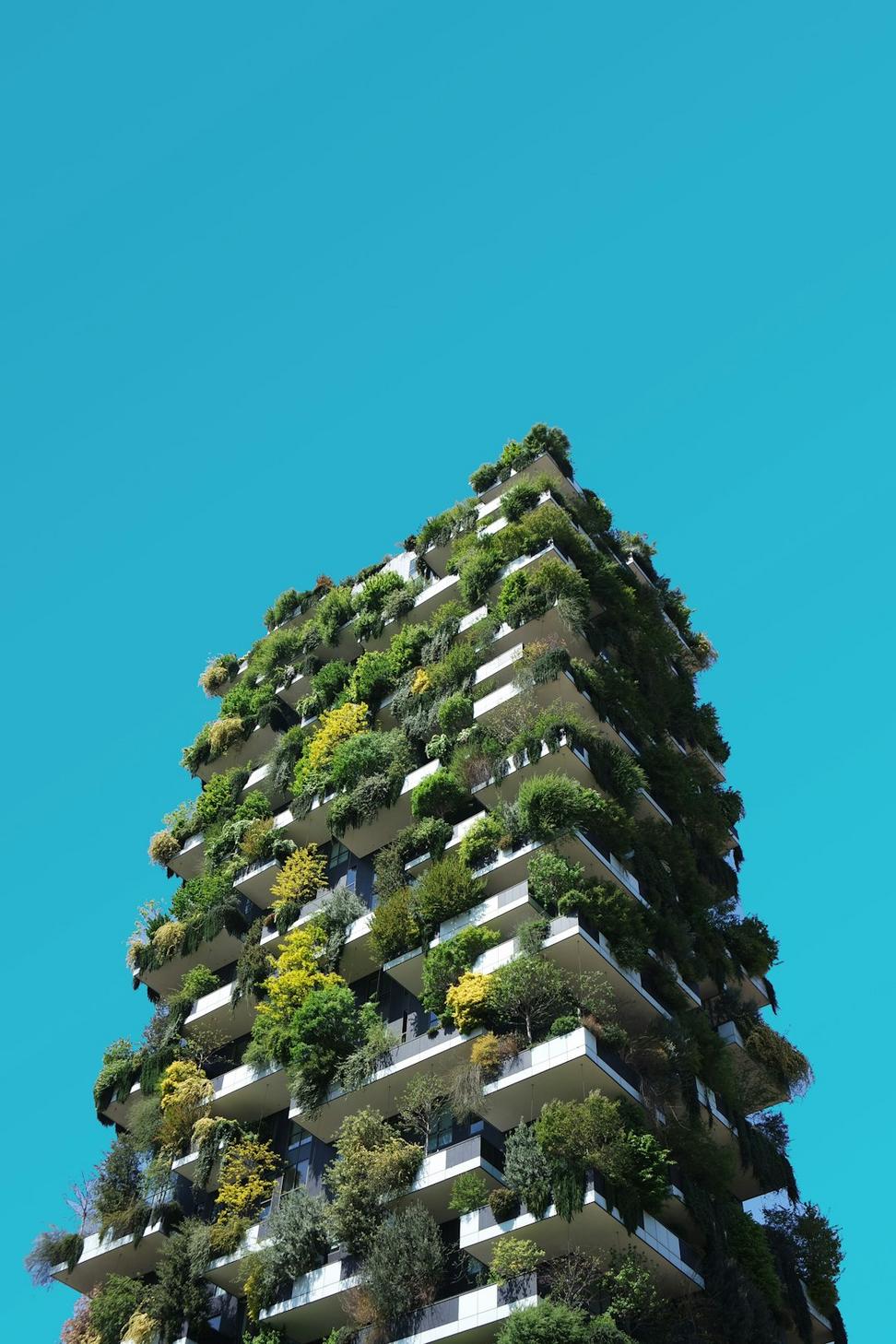 Urban Project