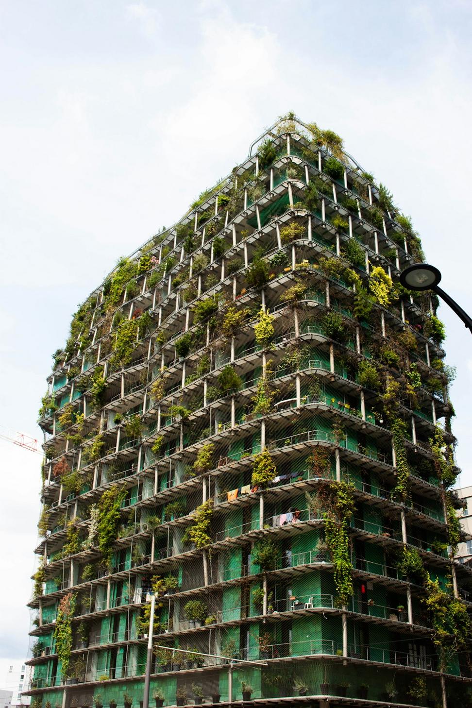 EcoHaven Homes