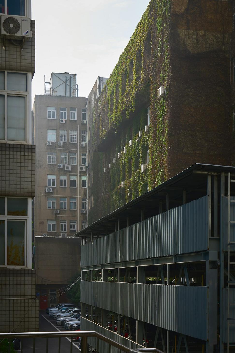 Urban Biodiversity